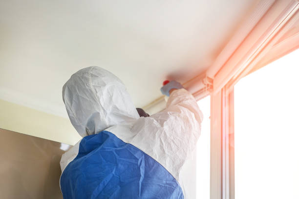 Best Residential Mold Inspection & Testing  in Greenville, OH