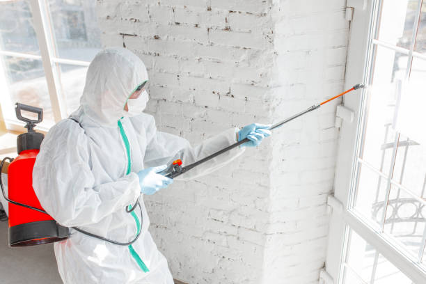 Best Mold Odor Removal Services  in Greenville, OH